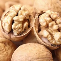 纸皮核桃2023新货原味