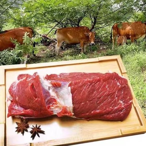 黄牛牛腿肉无注水
