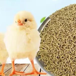 小鸡饲料家禽幼鸡鸭喂鸡鸭产蛋育雏专用芦丁鸡饲料混合粮食食物