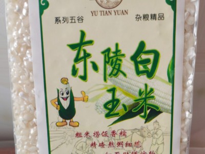 纯东陵白马牙图6