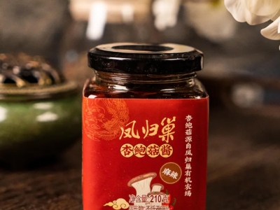 杏鲍菇酱 麻辣味 2瓶 210g